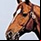 Affirmed